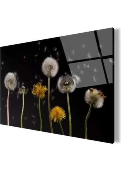 - Tüy Cam Tablo fırsatları