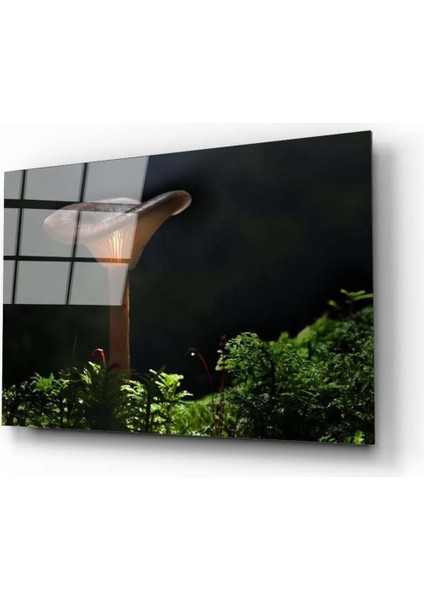 - Mantar 2 Cam Tablo