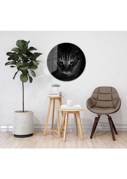 Marsilyan- Kedi Yuvarlak Cam Tablo 4mm Dayanıklı Temperli Cam fiyatları