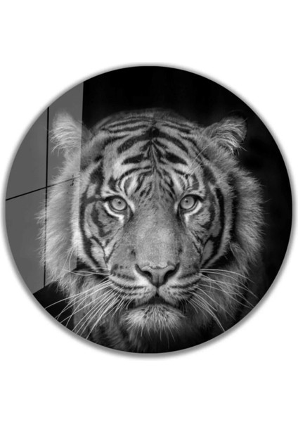 - Kaplan Yuvarlak Cam Tablo 4mm Dayanıklı Temperli Cam