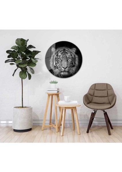 - Kaplan Yuvarlak Cam Tablo 4mm Dayanıklı Temperli Cam fiyatları