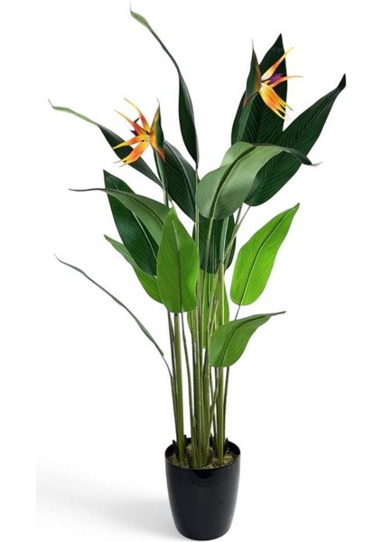 Yapay Ağaç Starliçe 160 cm Horoz Ibiği Çiçekli Bird Of Paradise Artificial Plants