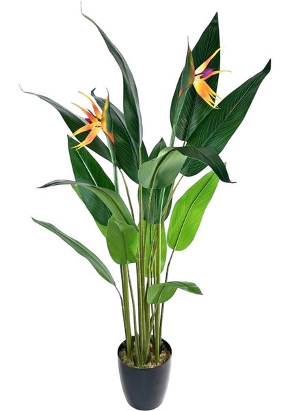 Yapay Ağaç Starliçe 160 cm Horoz Ibiği Çiçekli Bird Of Paradise Artificial Plants indirimleri