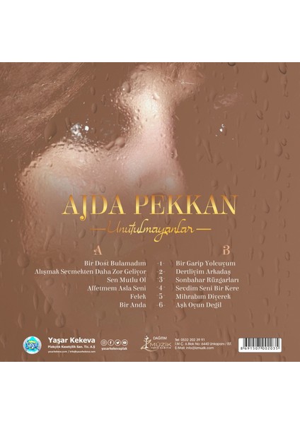 Ajda Pekkan Unutulmayanlar Plak fiyatları