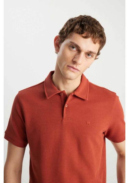 Erkek Regular Fit Polo Kiremit Erkek Kısa Kol T-Shirt modelleri