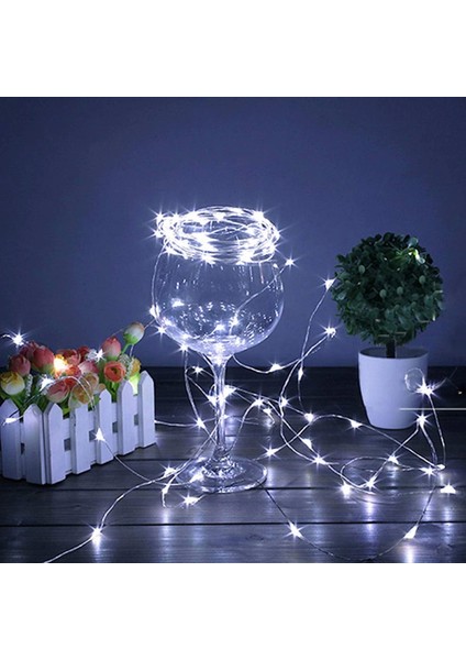 Pilli 5 Metre Dekoratif Peri LED Beyaz Aydınlatma Süsleme Lambası (4887)