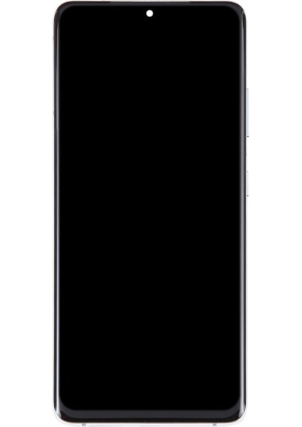 Samsung Galaxy S21 Ultra 5g Sm G998B LCD Ekran OLED Çerçeveli +Tamir Seti Gümüş Sağlam Paketleme