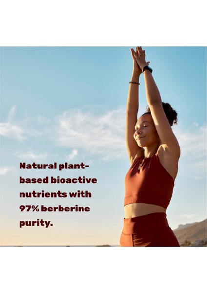 Berberine Max 5000MG 240 Veggie Capsul – 97% Pure Berberine Hcl – 25:1 Root Extract .abd MENŞEİ.3957