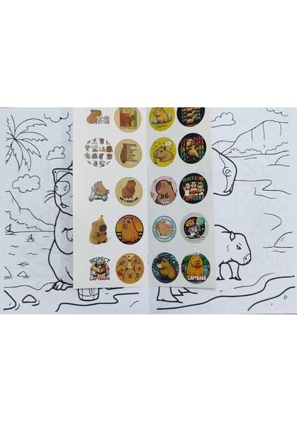 4 Adet Stickerli Boyama Kitabı (Hello Kitty,elsa,capybara,unicorn Figürlü)