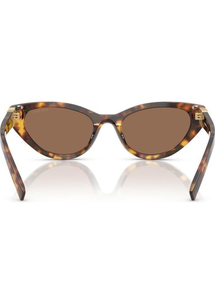 Mu A04S 54 14L60M Miu Miu Kadın Güneş modelleri