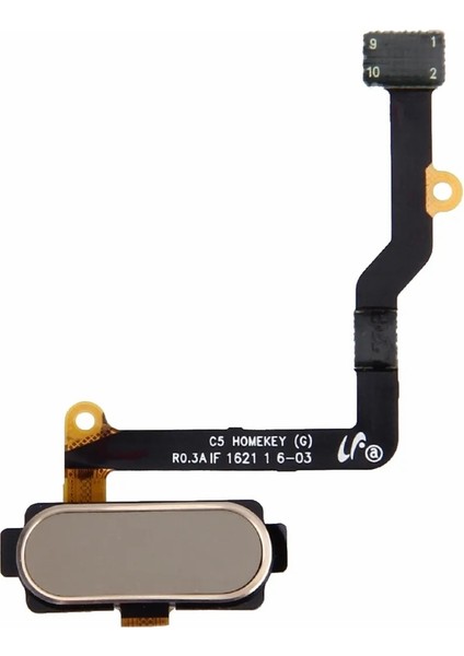 Samsung C5 (SM-C5000) Uyumlu Orta Tuş Home Tuş Flex Filmi