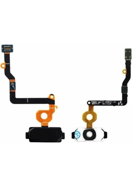 Samsung C5 (SM-C5000) Uyumlu Orta Tuş Home Tuş Flex Filmi