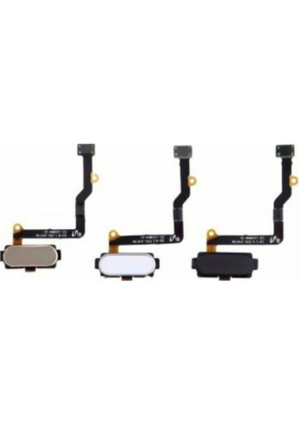Samsung C5 (SM-C5000) Uyumlu Orta Tuş Home Tuş Flex Filmi