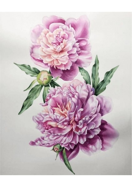 Canvas Pembe Çiçekler Sayılarla Boyama Seti Rulo