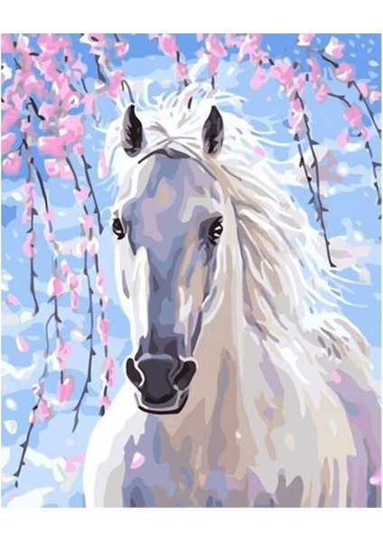 Canvas Işıltılı Orlov Sayılarla Boyama Seti Rulo