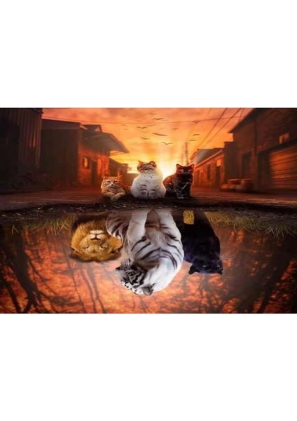 Canvas Kedilerin Yansıması Boyama Seti Rulo