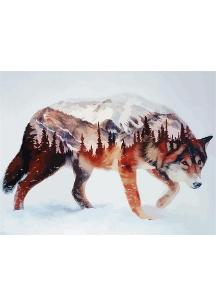 Canvas Kurt Sayılarla Boyama Seti Rulo