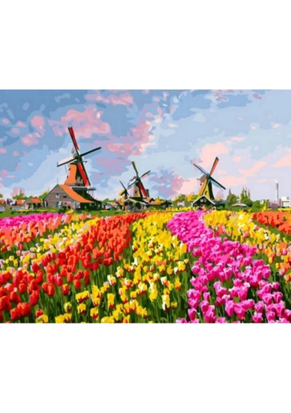 Canvas Renkli Laleler ve Yeldeğirmenleri Sayılarla Boyama Seti Rulo