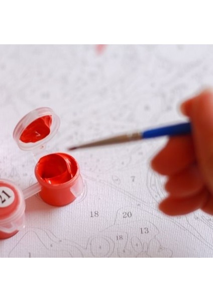 Canvas Kırmızı Ayakkabı Sayılarla Boyama Seti Rulo