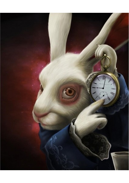 Canvas Harikalar Diyarı 2 Sayılarla Boyama Seti Rulo