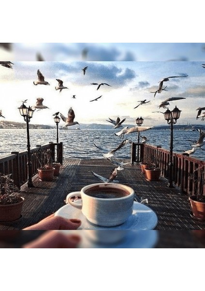 Canvas Istanbul Kahve Keyfi Sayılarla Boyama Seti Rulo