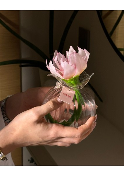 Cam Vazo Içerisinde Lotus Çiçeği Mum