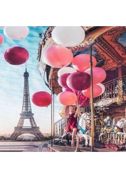 Canvas Eyfelde Lunapark Sayılarla Boyama Seti Rulo