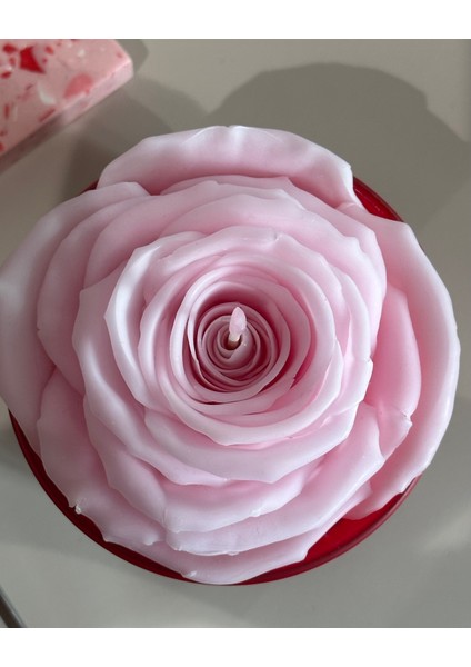 Afrodit Kase Mum, Kokulu Mum, Çiçek Mum, Dekoratif Mum fiyatları