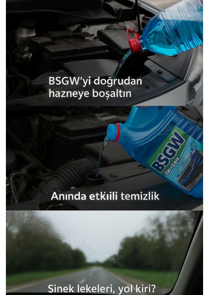 Bsgw