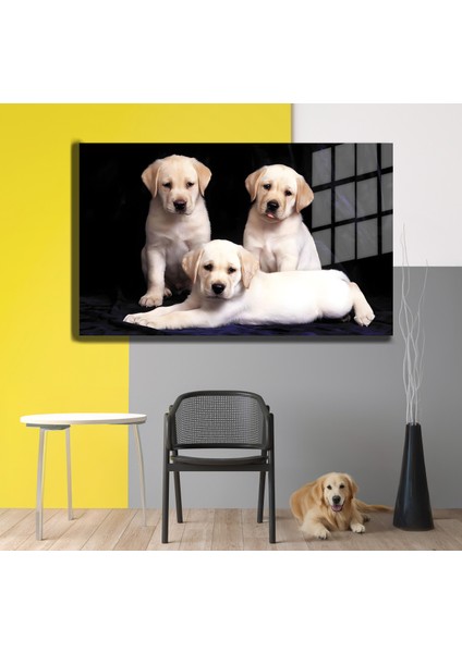 Eğlenceli Hayvanlar, Yapay Zeka Destekli, 3D Dekoratif Baskı Yatay Cam Tablo 87