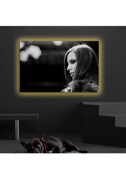 LED Işıklı Kanvas Tablo, 3D Dekoratif Baskılı Tablo Yapay Zeka Destekli Modern Tasarımlar 221