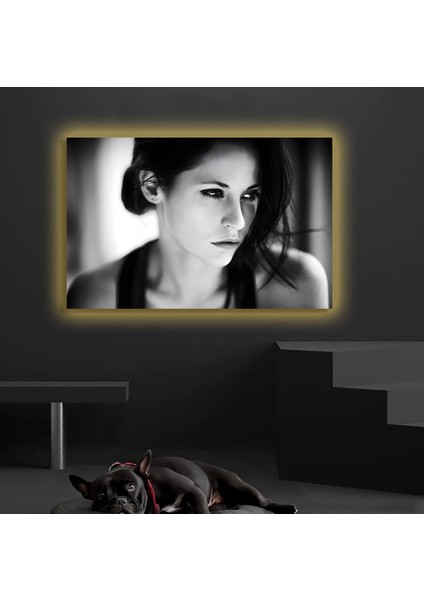 LED Işıklı Kanvas Tablo, 3D Dekoratif Baskılı Tablo Yapay Zeka Destekli Modern Tasarımlar 213