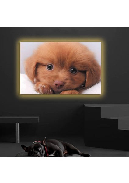 LED Işıklı Kanvas Tablo, 3D Dekoratif Baskılı Tablo Yapay Zeka Destekli Modern Tasarımlar 333