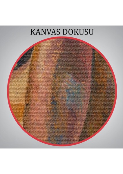 Çıplak Kız Yağlıboya Güzellik Sanatı Banyo Duvarı Kanvas TABLO-5252