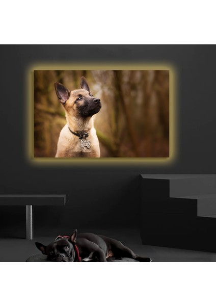 LED Işıklı Kanvas Tablo, 3D Dekoratif Baskılı Tablo Yapay Zeka Desteksli Hayvanlar 107