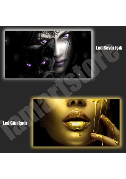 LED Işıklı Kanvas Tablo, 3D Dekoratif Baskılı Tablo Yapay Zeka Desteksli Hayvanlar 08