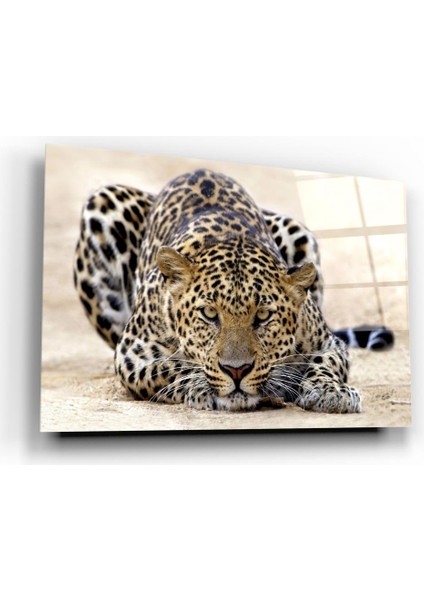Leopar Cam Tablo | Hediyelik, Dekoratif, Ofis, Mutfak