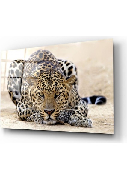 Leopar Cam Tablo | Hediyelik, Dekoratif, Ofis, Mutfak