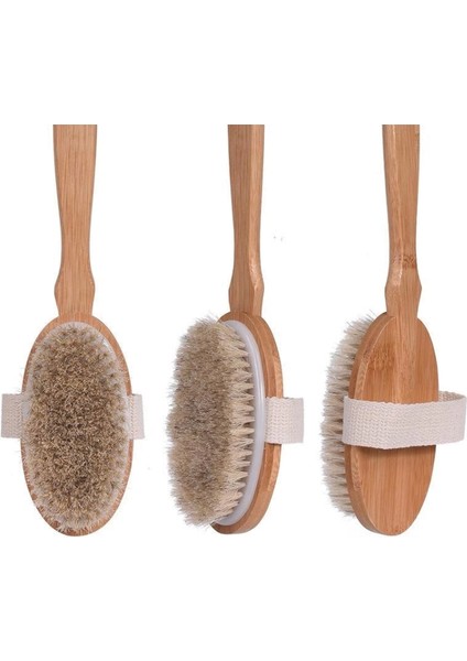 Doğal At Kılı Fırçası fiyatları