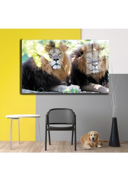 Eğlenceli Hayvanlar, Yapay Zeka Destekli, 3D Dekoratif Baskı Yatay Cam Tablo 548