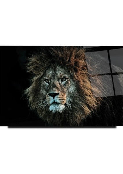 Aslan Cam Tablo | Hediyelik, Dekoratif, Ofis, Mutfak