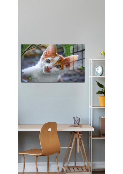 Eğlenceli Hayvanlar, Yapay Zeka Destekli, 3D Dekoratif Baskı Yatay Cam Tablo 585