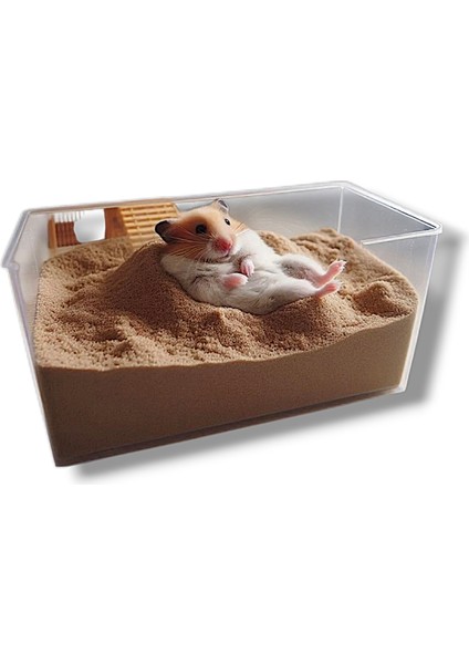Hamster Kumu 1 kg Banyo/oyun/tuvalet Kumu