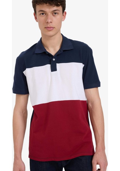 %100 Pamuk Regular Fit Polo Yaka Bloklu Kısa Kollu Tişört D7940AX25SP