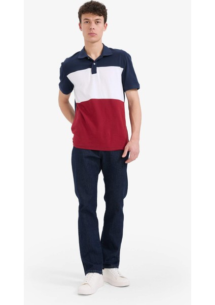 %100 Pamuk Regular Fit Polo Yaka Bloklu Kısa Kollu Tişört D7940AX25SP