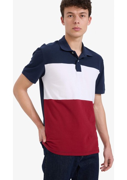 %100 Pamuk Regular Fit Polo Yaka Bloklu Kısa Kollu Tişört D7940AX25SP