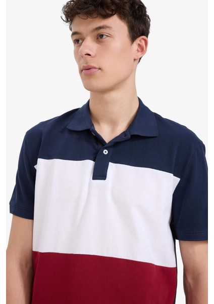 %100 Pamuk Regular Fit Polo Yaka Bloklu Kısa Kollu Tişört D7940AX25SP