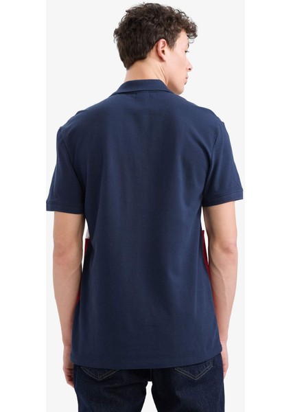 %100 Pamuk Regular Fit Polo Yaka Bloklu Kısa Kollu Tişört D7940AX25SP