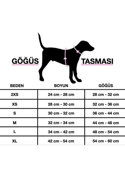 Baloncuklu Boyun Tasması Yeşil L 2.5 cm