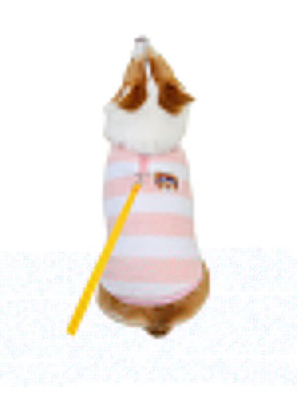 Çizgili Köpek Kazağı Pembe Beyaz 3xl